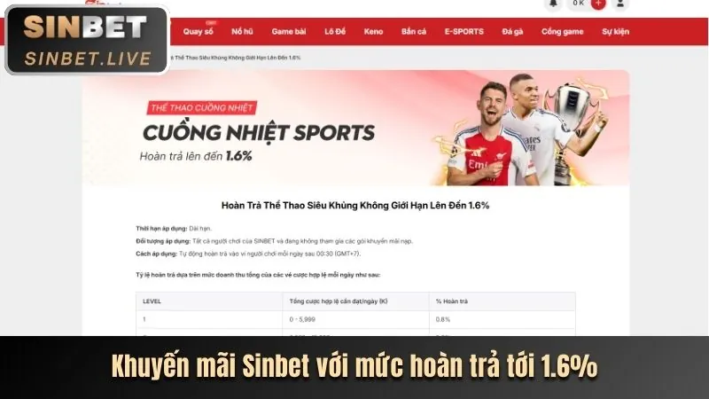 Cá cược thể thao với các trận đấu lớn